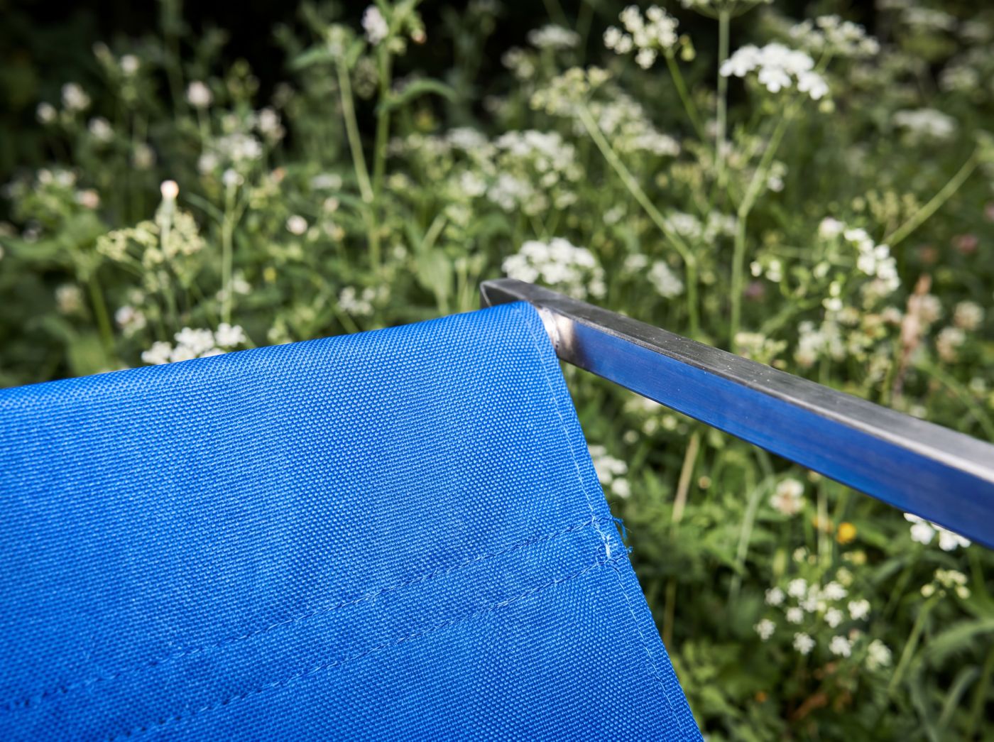 Toile bleue, jardin sauvage