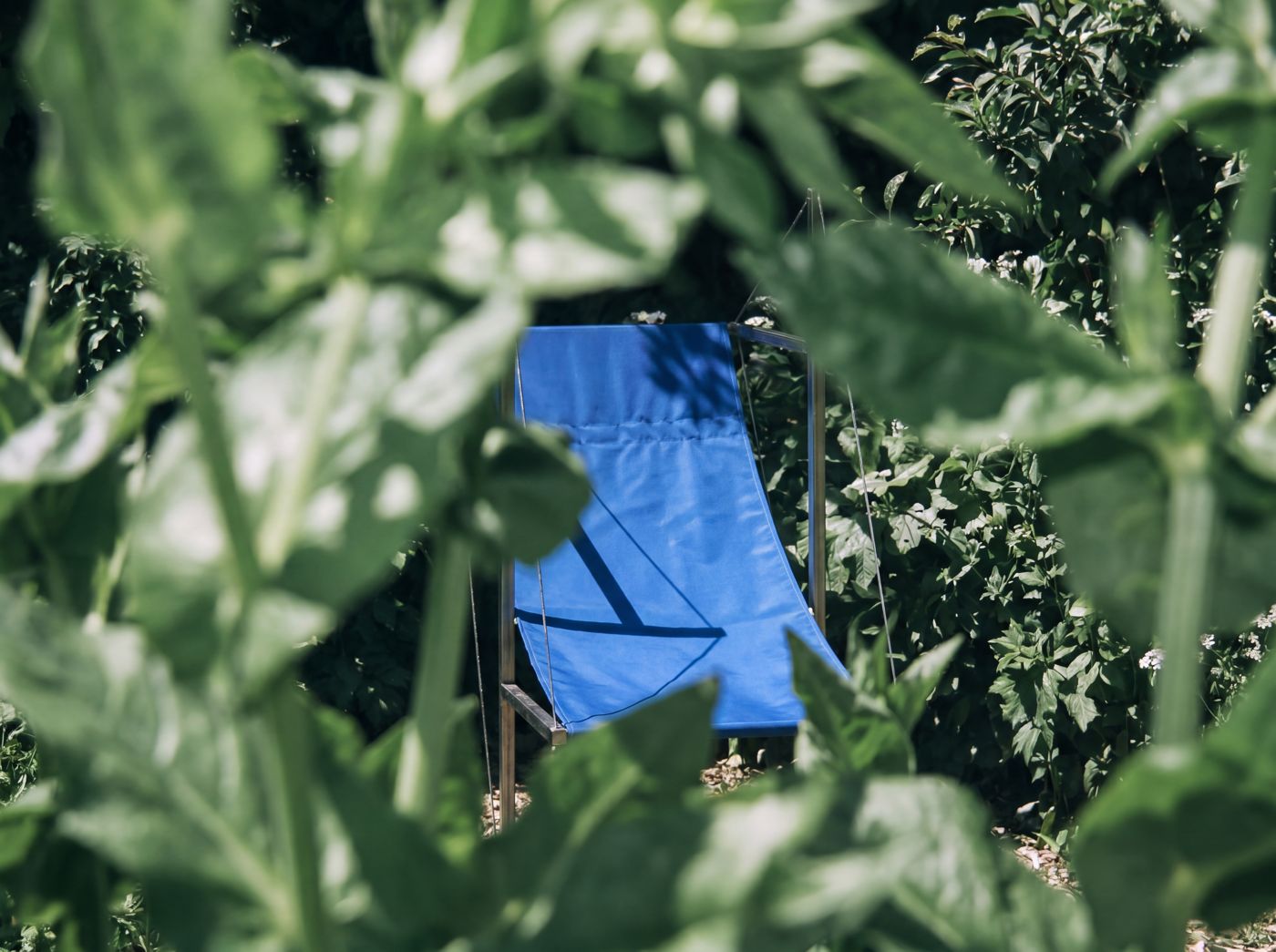 Toile bleue, sous-bois tropical