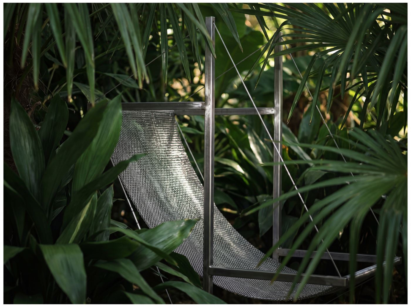 Maille inox sous les palmes