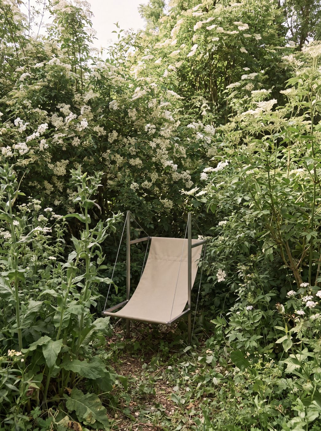 Perdue dans la verdure